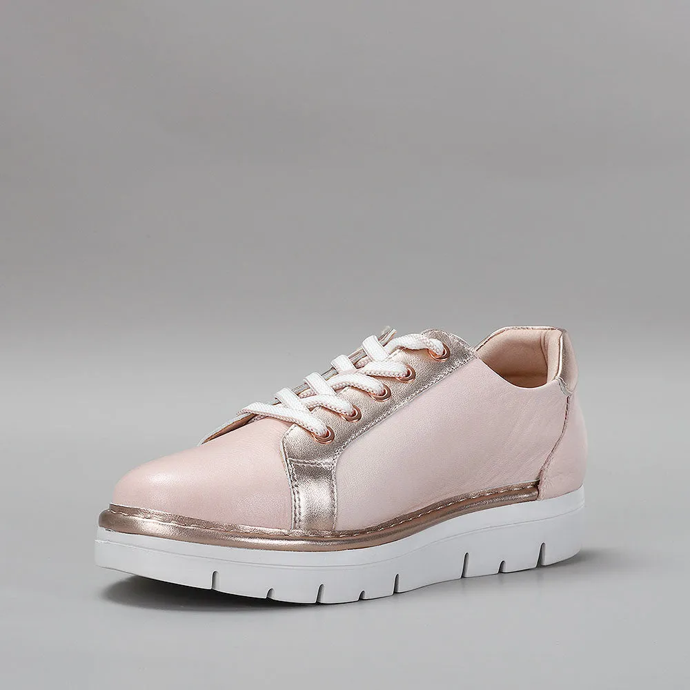 LE SANSA BEAGLE BLUSH GOLD Ultra-soft traction Graphic