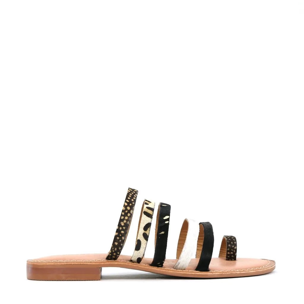 Long Move Trendy AMIN