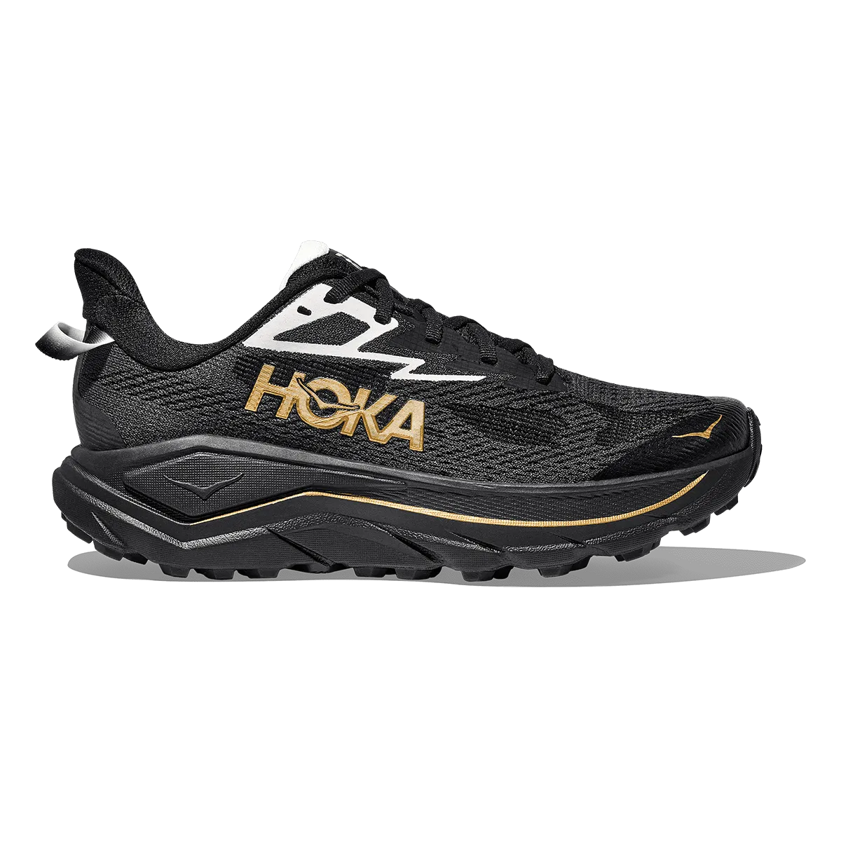 Women's Challenger 8 running in a fen area shoes Giant pattern