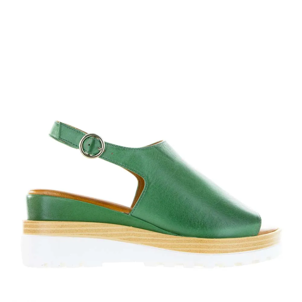 Freedom Step LE SANSA THUNDER PINE