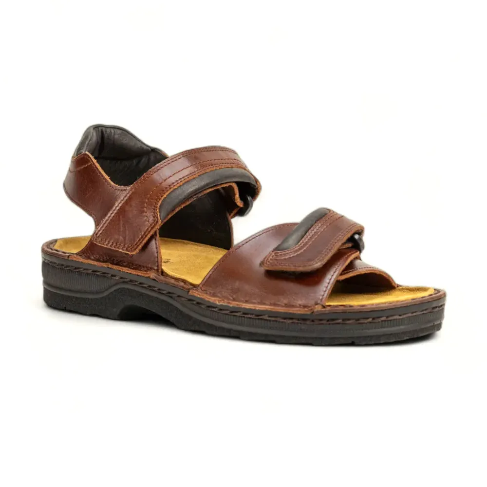 Lappland (69601) Bright Neon