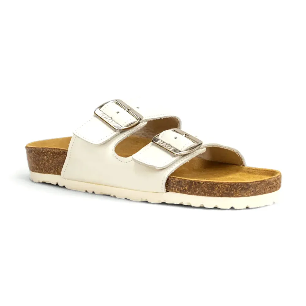 Santa Barbara (7500) - Soft White Joy Mood