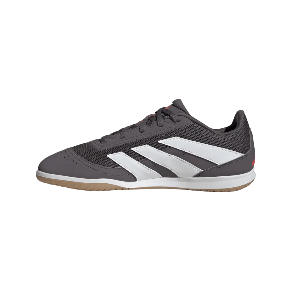 Fitting Adidas Predator Club IN Sala Indoor Football Shoes (Grey Strata/Cloud White/Lucid Red)