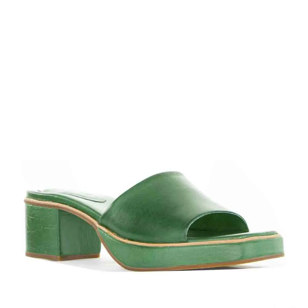 LE SANSA ROSEMARY PINE Superior Look