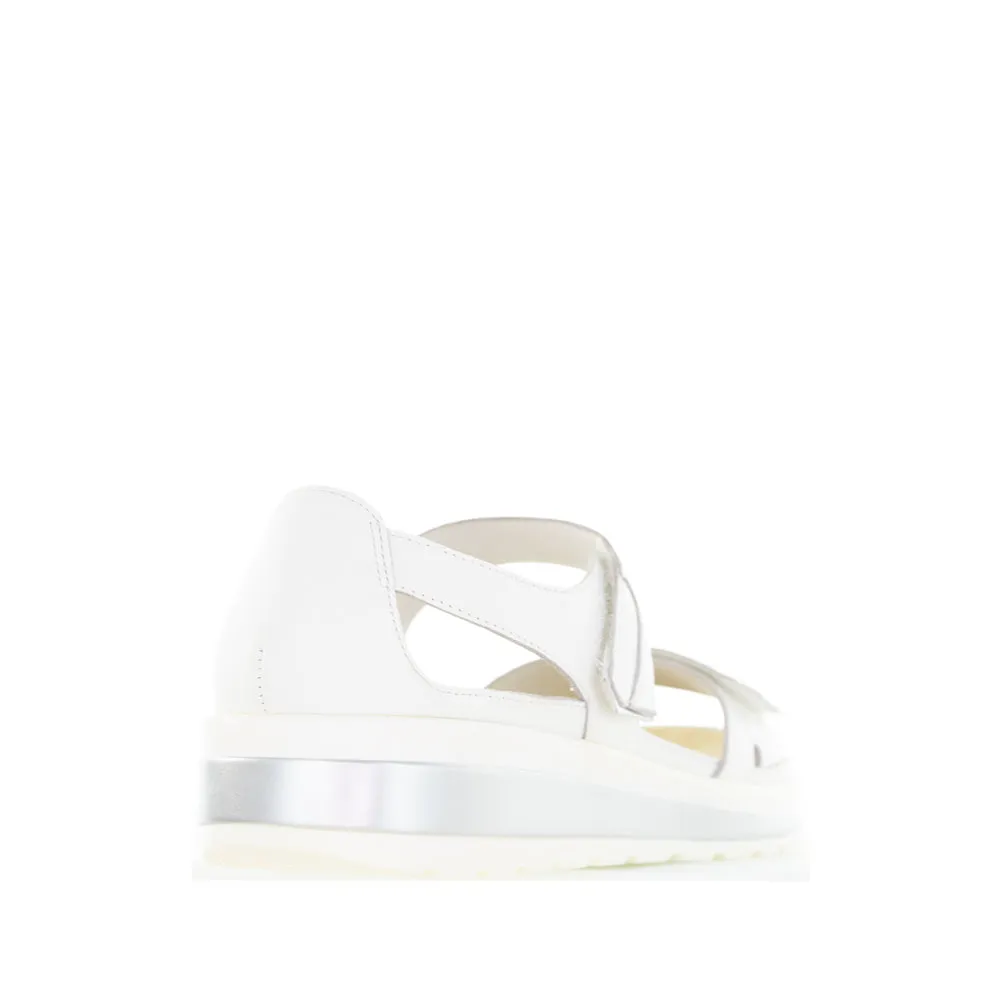 ZIERA GEDD WHITE SILVER Flower Pop Minimal Weight