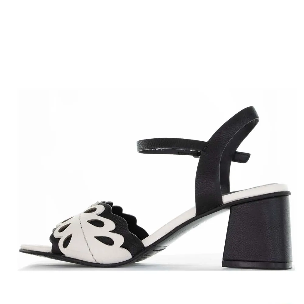 Minimal Weight ELVIO ZANON EN2307X BLACK