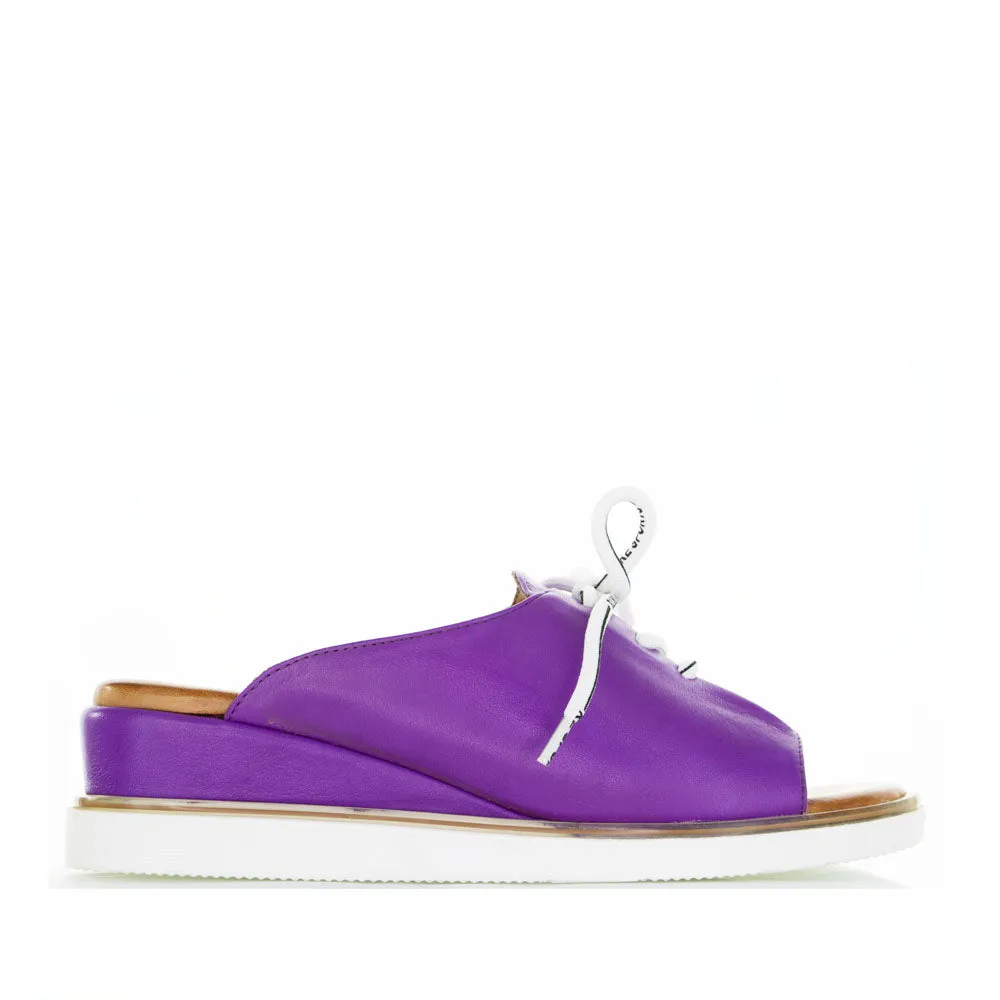 LE SANSA TINNY PURPLE avid cyclists Pointed Toe