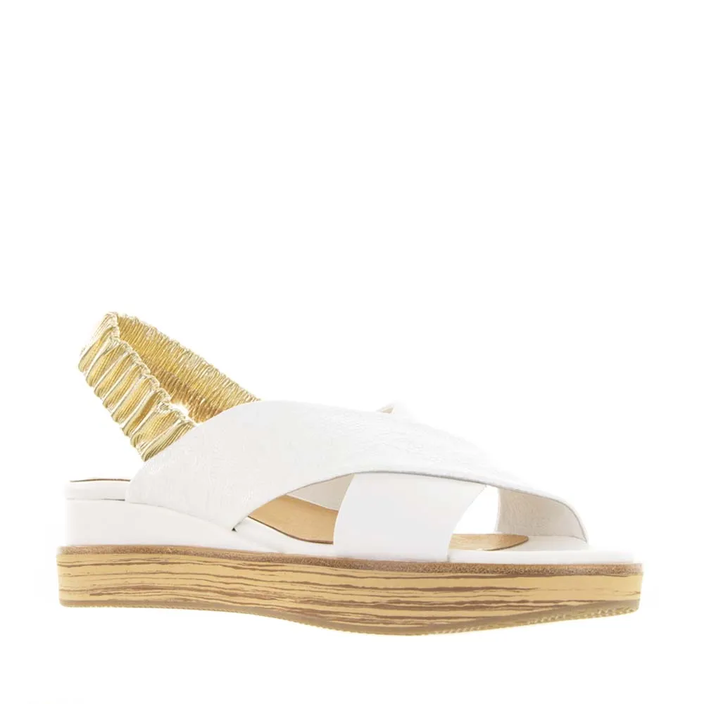 Garden Walk Metal Shine Bresley Debacle White Gold
