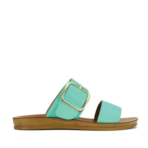 LOS CABOS DOTI AQUA All Purpose