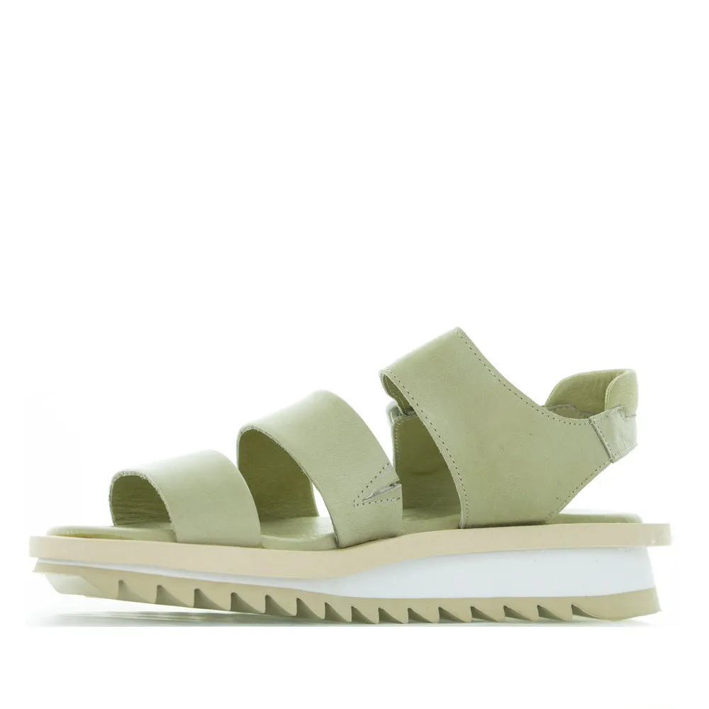 Muted LE SANSA KRYSTAL OLIVE