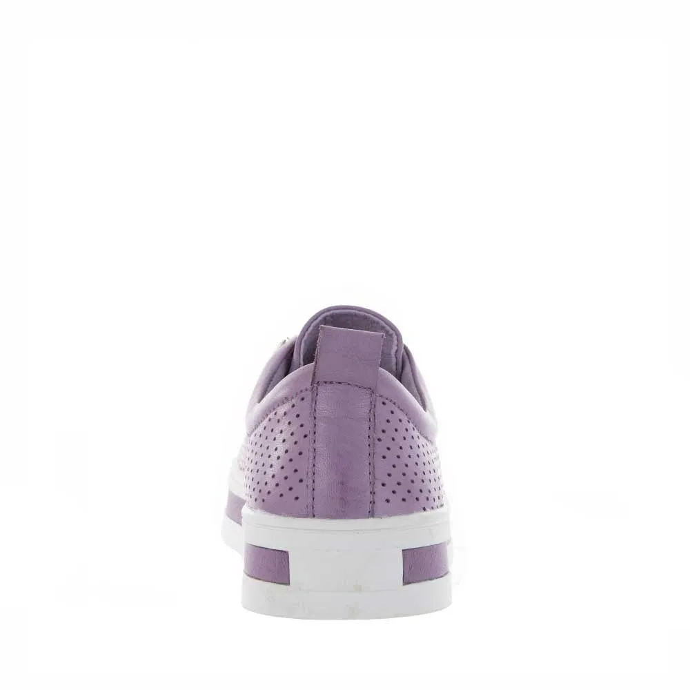 LE SANSA STARK LILAC entertaining