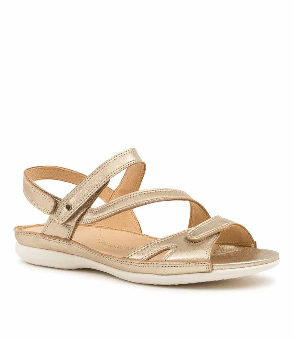Ziera Belta Palegold Harbor Mood