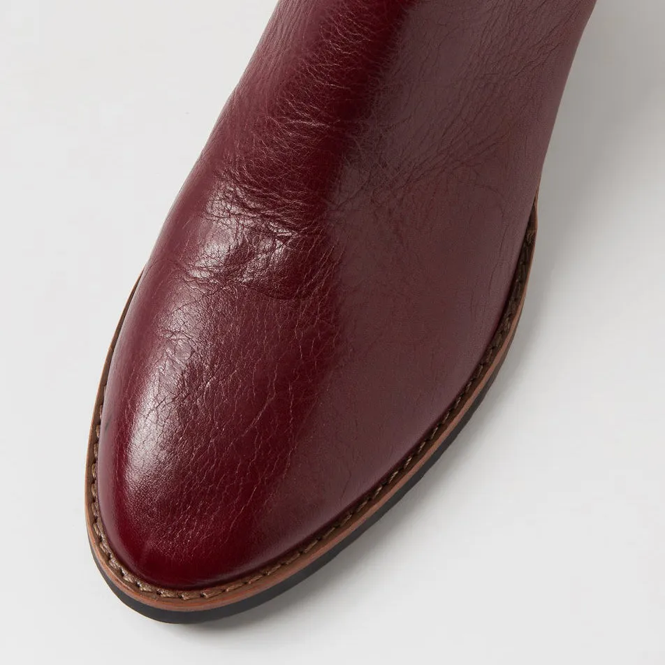 Stylish Design Windproof Design DJANGO & JULIETTE TALULA BURGUNDY