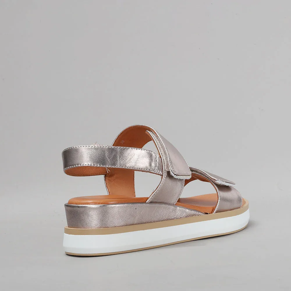 LE SANSA HOLLY CHAMPAGNE proportion floral