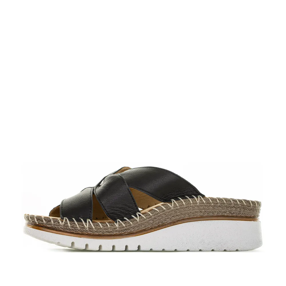 Rain Light Ombre Fade LE SANSA FINCH BLACK