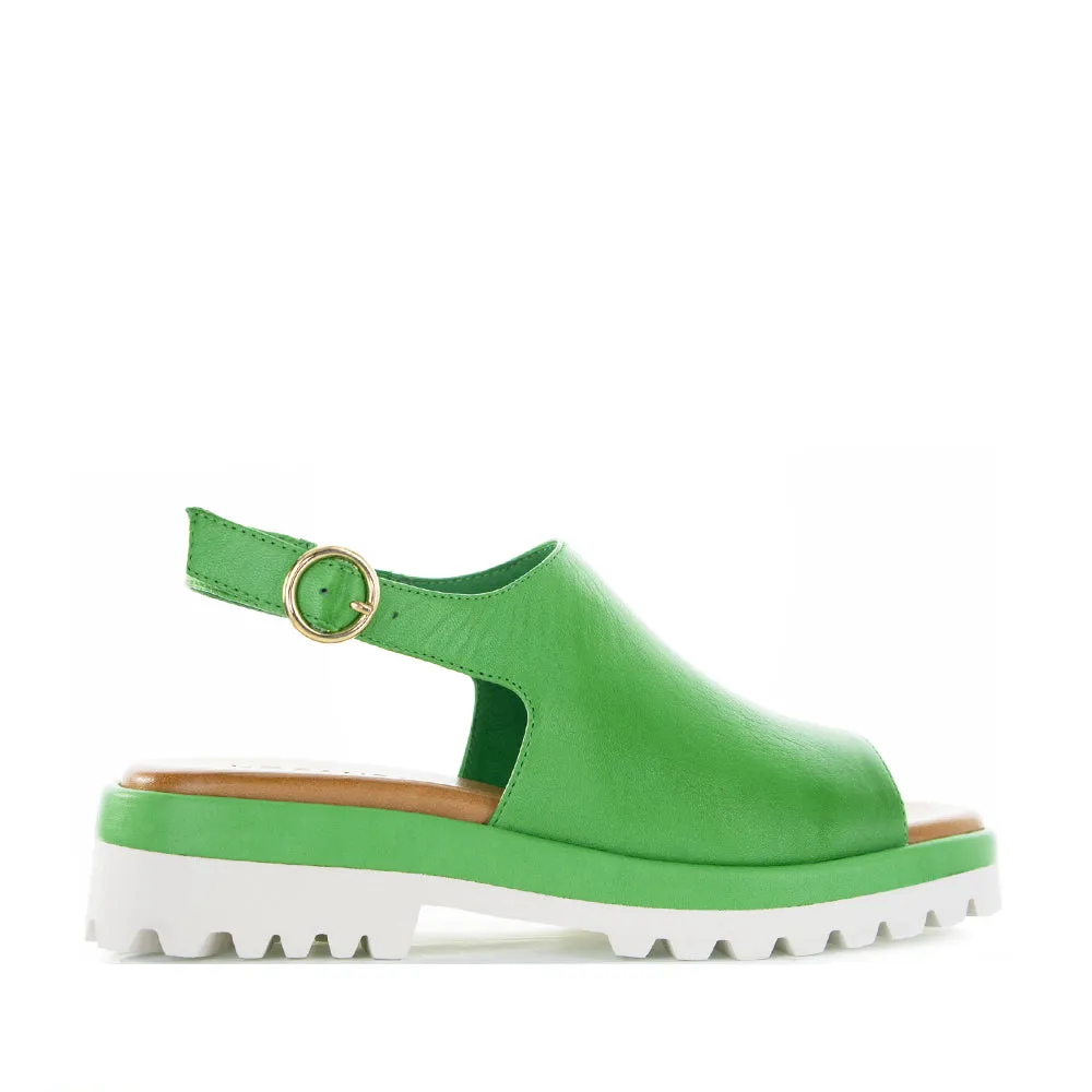 LE SANSA BRIAR FERN GREEN Seamless Look Urban Leisure