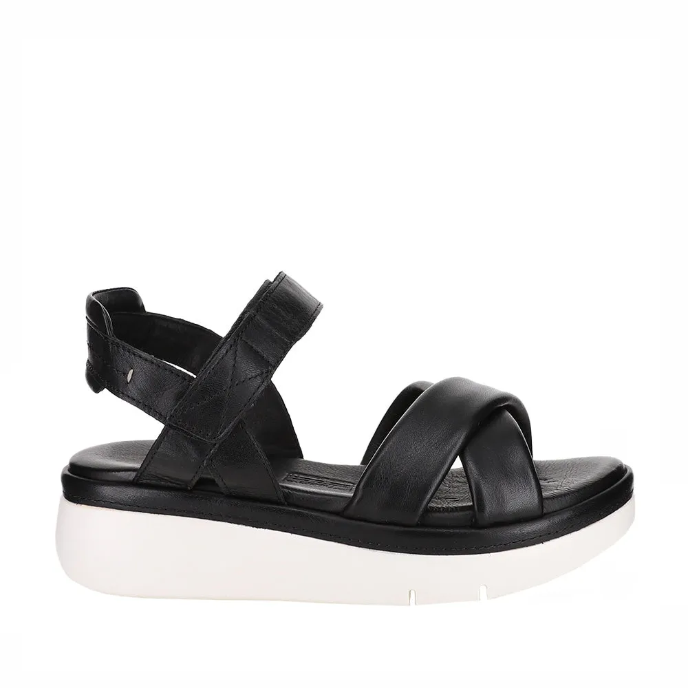 LE SANSA FROST BLACK Daily Essentials