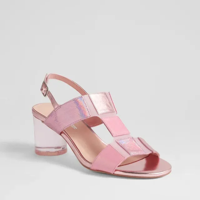 Street Ready Durable Strap DJANGO & JULIETTE SEYMOUR ROSE MULTI