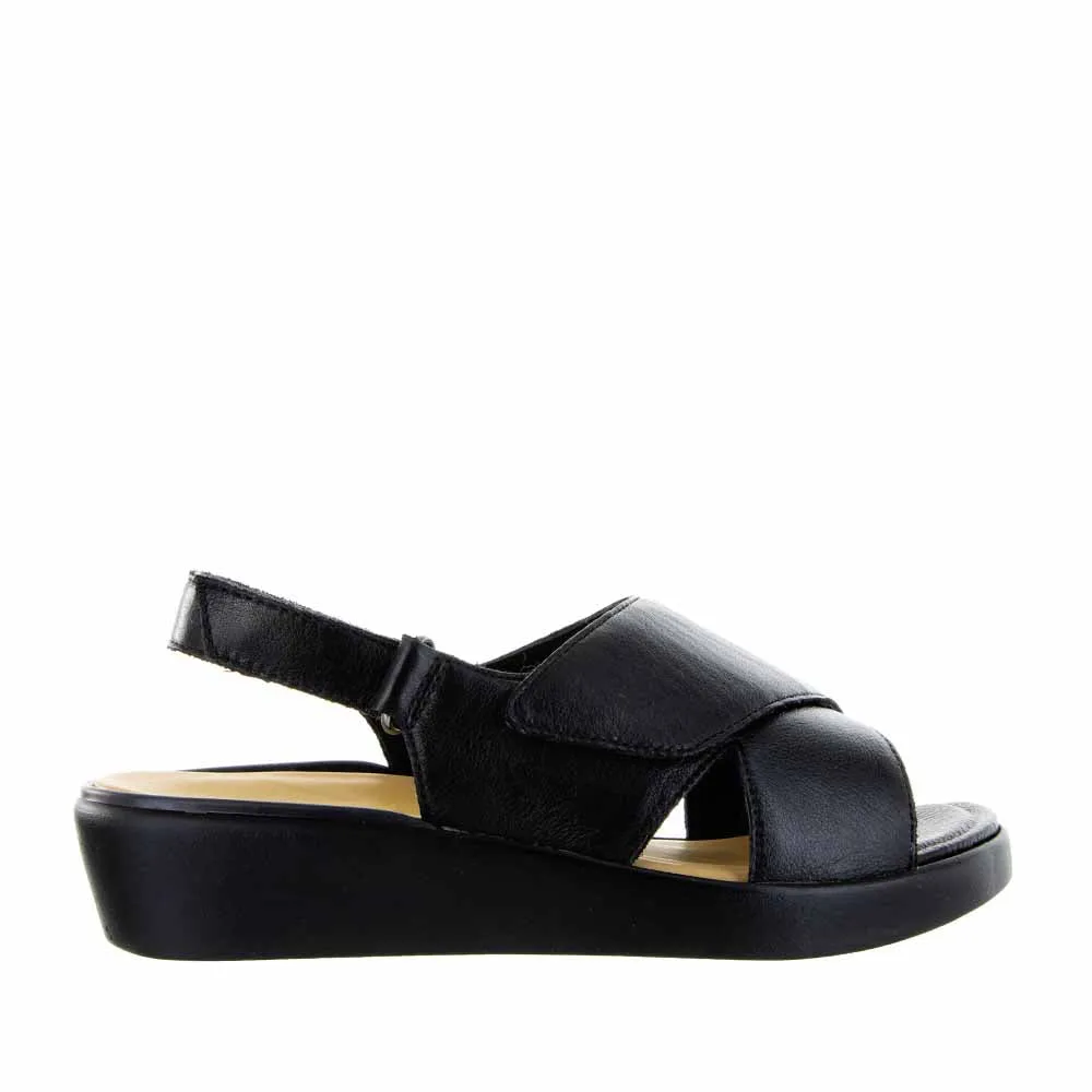 ZIERA MORTON BLACK Stay Cool