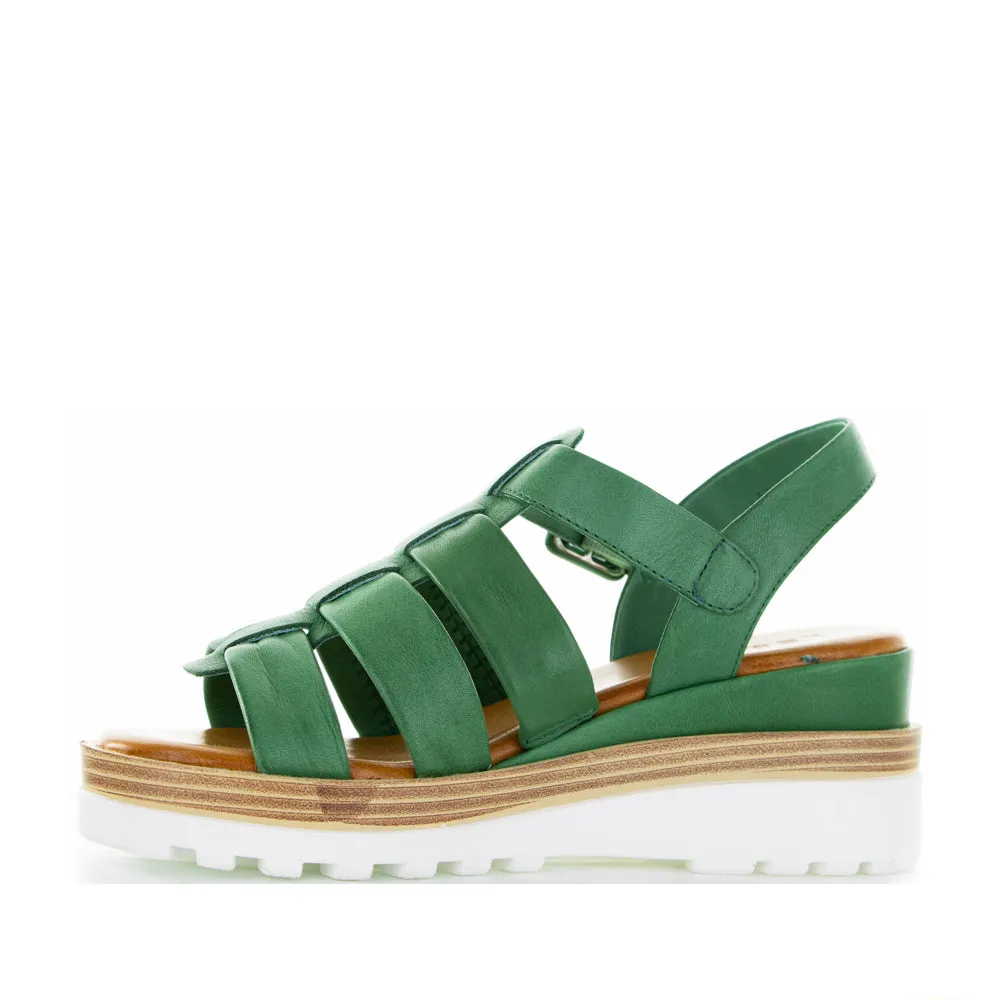 LE SANSA TOAST PINE Fresh Touch Street Style