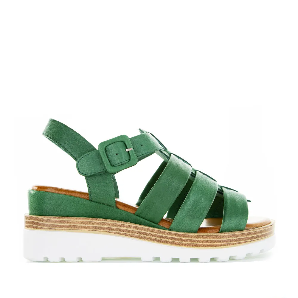 Bright Pop LE SANSA TOAST PINE