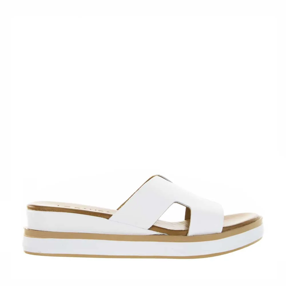 LE SANSA HOOT WHITE thickest Classy stability