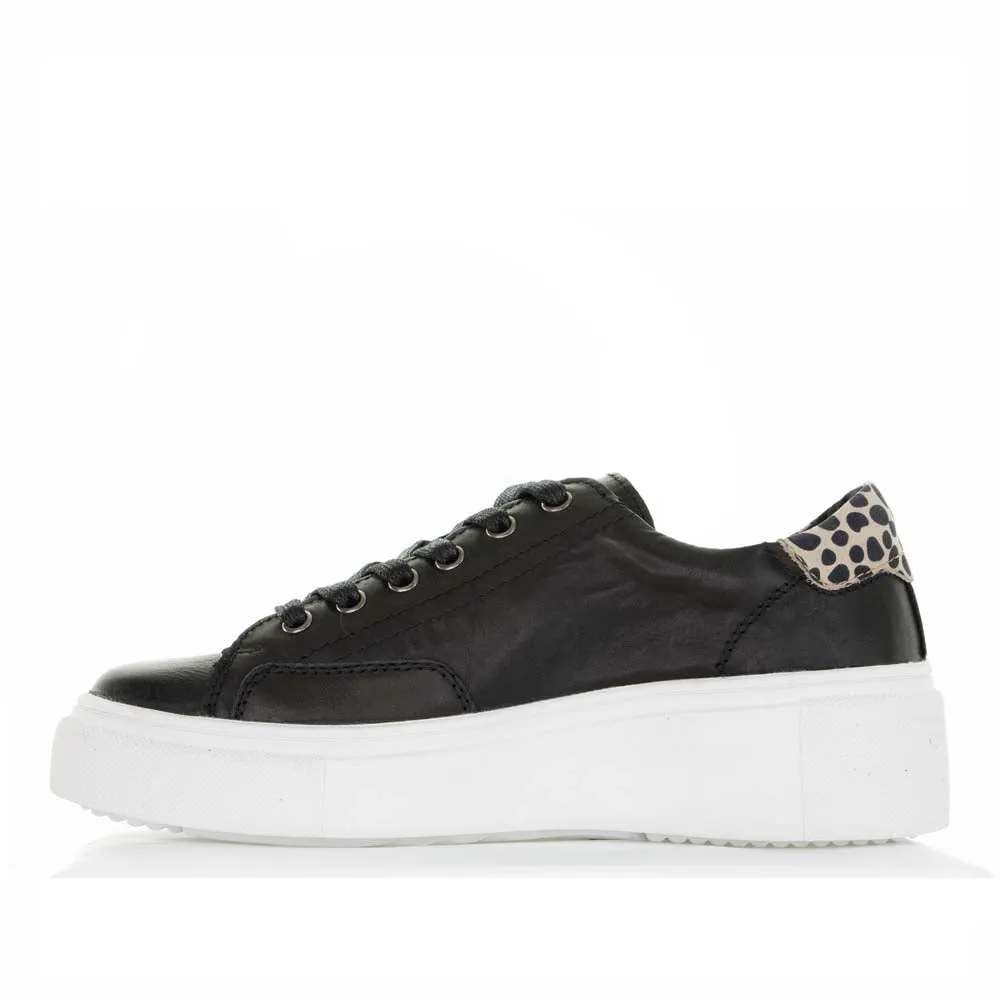 Fresh Tone Neutral Glow ALFIE & EVIE KAVE BLACK