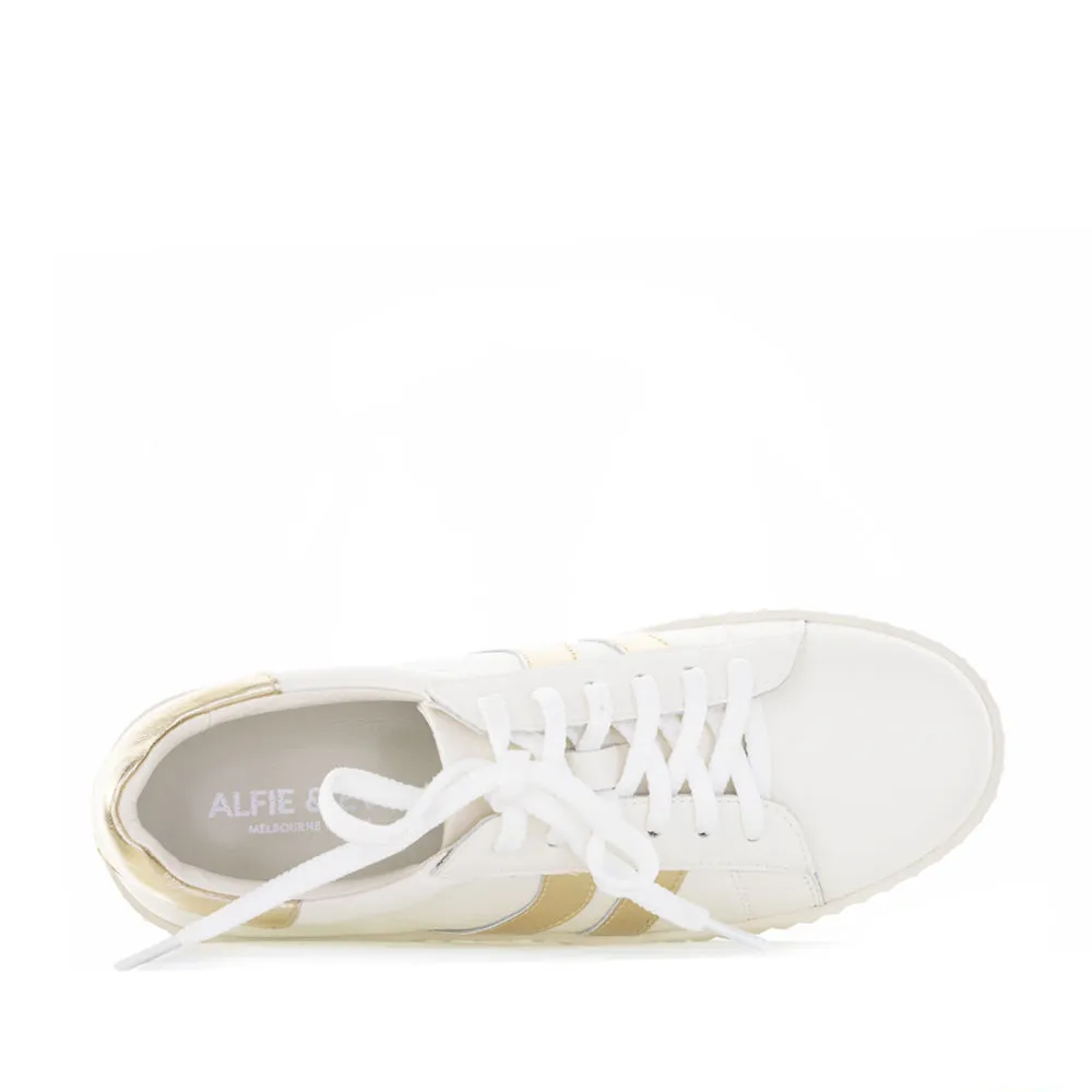 Shine Silver ALFIE & EVIE RAIN WHITE GOLD